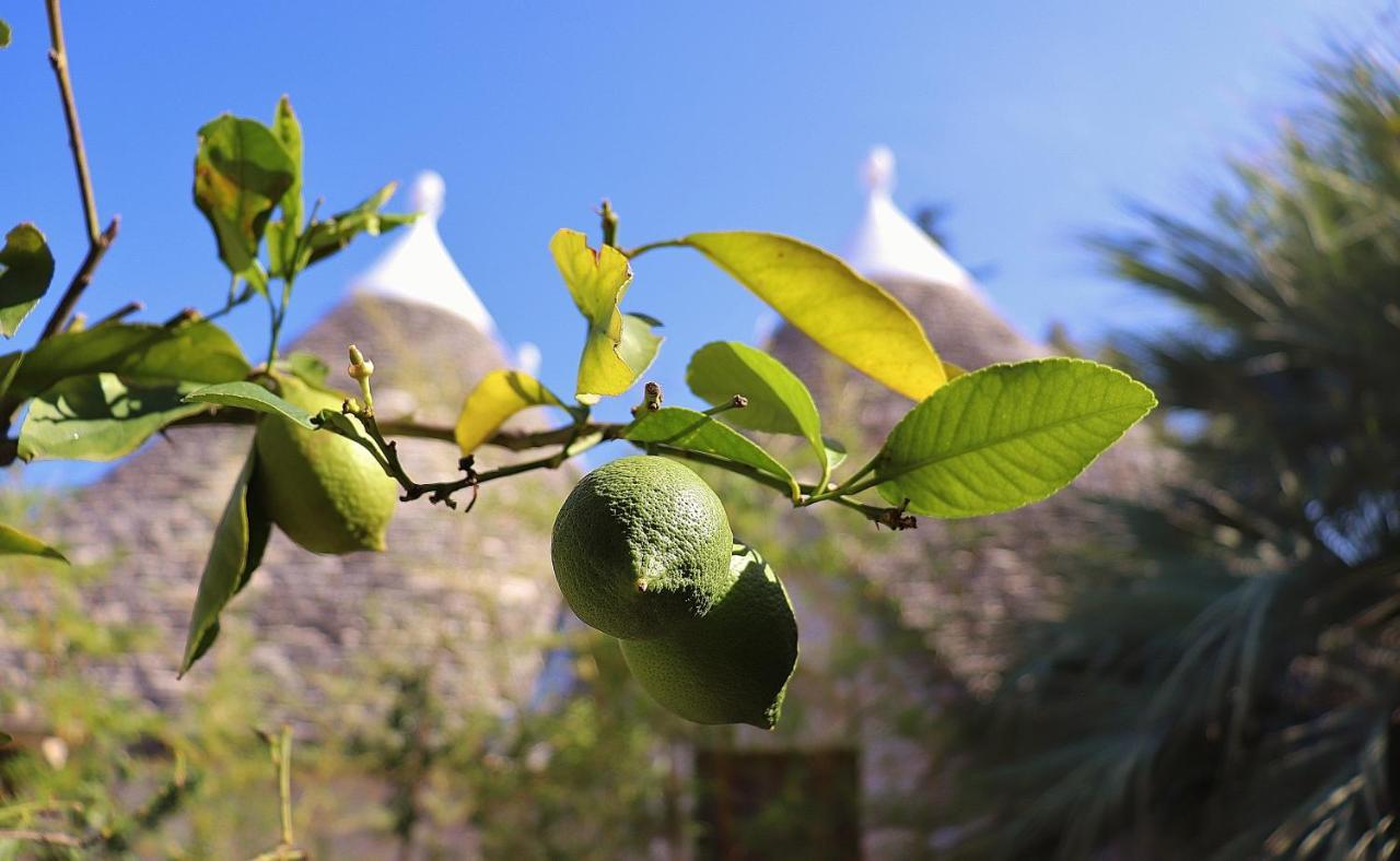 Trulli And Nature Antonelli Exterior photo