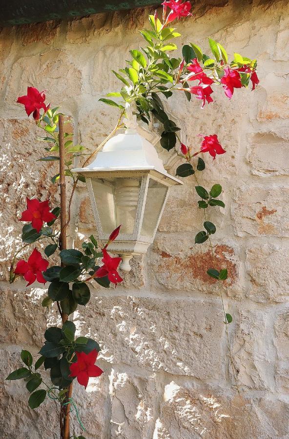 Trulli And Nature Antonelli Exterior photo
